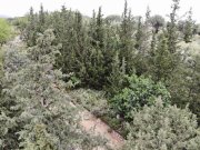 Patima Kreta, Patima: Erstklassiges Baugrundstück mit Meer- und Bergblick nahe Georgioupoli zu verkaufen Grundstück kaufen